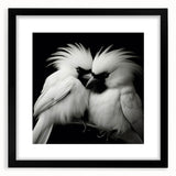 Tropical bird wall art design in a black frame, showcasing vibrant colors and intricate details, perfect for enhancing modern home decor and nature-inspired spaces.