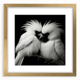 Tropical birds wall art collection featuring vibrant colors and intricate designs, elegantly framed with a gold mat, perfect for enhancing any living space decor.