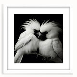 Tropical birds wall art collection featuring vibrant colors and intricate designs, framed in white with a mat for an elegant display, perfect for home decor.