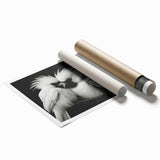 Vibrant tropical bird wall art collection featuring colorful parakeets and toucans on a textured print, ideal for brightening up home decor spaces.