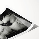 Tropical birds wall art print showcasing vibrant colors and intricate designs, rolled for easy framing and display, perfect for enhancing home decor.