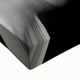 Close-up view of a vibrant tropical birds wall art design on stretched canvas, showcasing detailed feathers and bright colors, ideal for home decor.