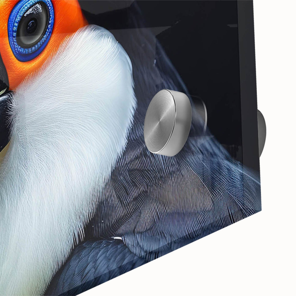 Close-up of a vibrant tropical bird-themed wall art design, showcasing intricate details and vivid colors on acrylic glass, perfect for home decor enhancement.
