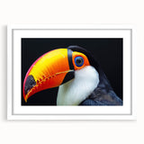 Tropical bird-themed wall art framed in white, showcasing vibrant colors and intricate designs, perfect for adding a lively touch to home decor. The mat enhances the visual appeal, making it an eye-catching centerpiece for any room.
