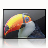 Framed acrylic wall art featuring vibrant tropical birds against a black background, showcasing intricate details and colors, perfect for enhancing modern decor.