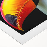 Vibrant rolled canvas wall art showcasing tropical birds in lush colors, perfect for home decor, featuring intricate details and a textured finish.