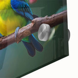 Close-up of vibrant tropical birds wall art design printed on acrylic glass, showcasing vivid colors and intricate details, perfect for home decor.