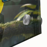 Vibrant close-up of a tropical bird design wall art piece, showcasing colorful feathers and intricate details on acrylic glass, perfect for home decor.