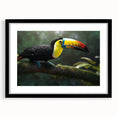 Tropical bird-themed wall art collection featuring a black frame and mat, showcasing vibrant colors and intricate designs, perfect for home decor enhancement.