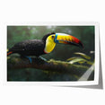Tropical bird-themed wall art print featuring vibrant colors and intricate designs, rolled for easy shipping and display, perfect for home decor enthusiasts.