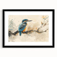 Tropical birds wall art collection framed in black with a mat, showcasing vibrant, colorful bird illustrations, ideal for enhancing modern home decor.