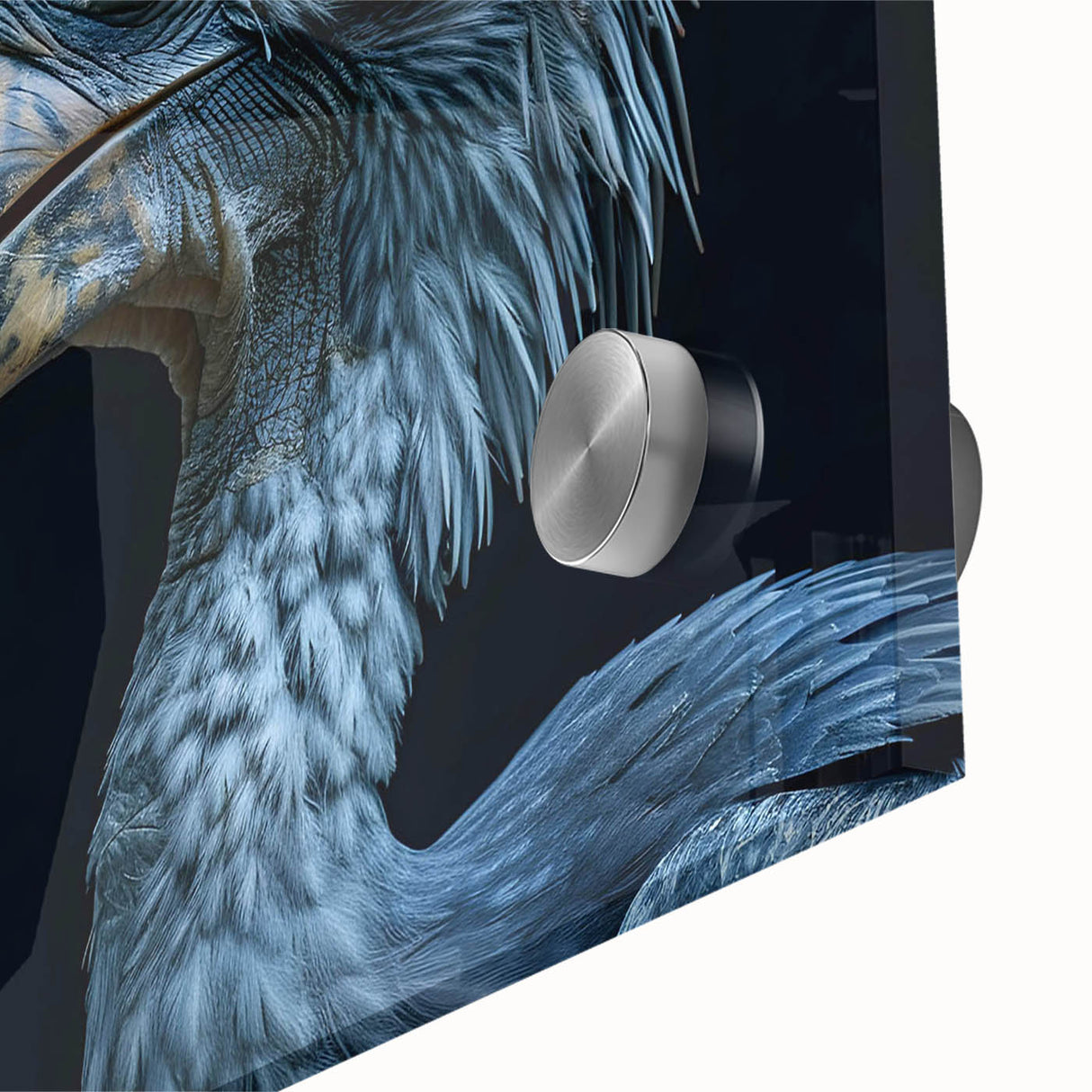 Close-up of vibrant tropical bird wall art design, showcasing intricate details on acrylic glass, ideal for adding a colorful touch to modern decor.
