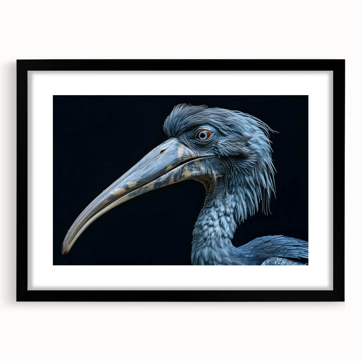Tropical bird wall art collection framed with a black mat, showcasing vibrant colors and intricate designs, ideal for home decor or nature enthusiasts.