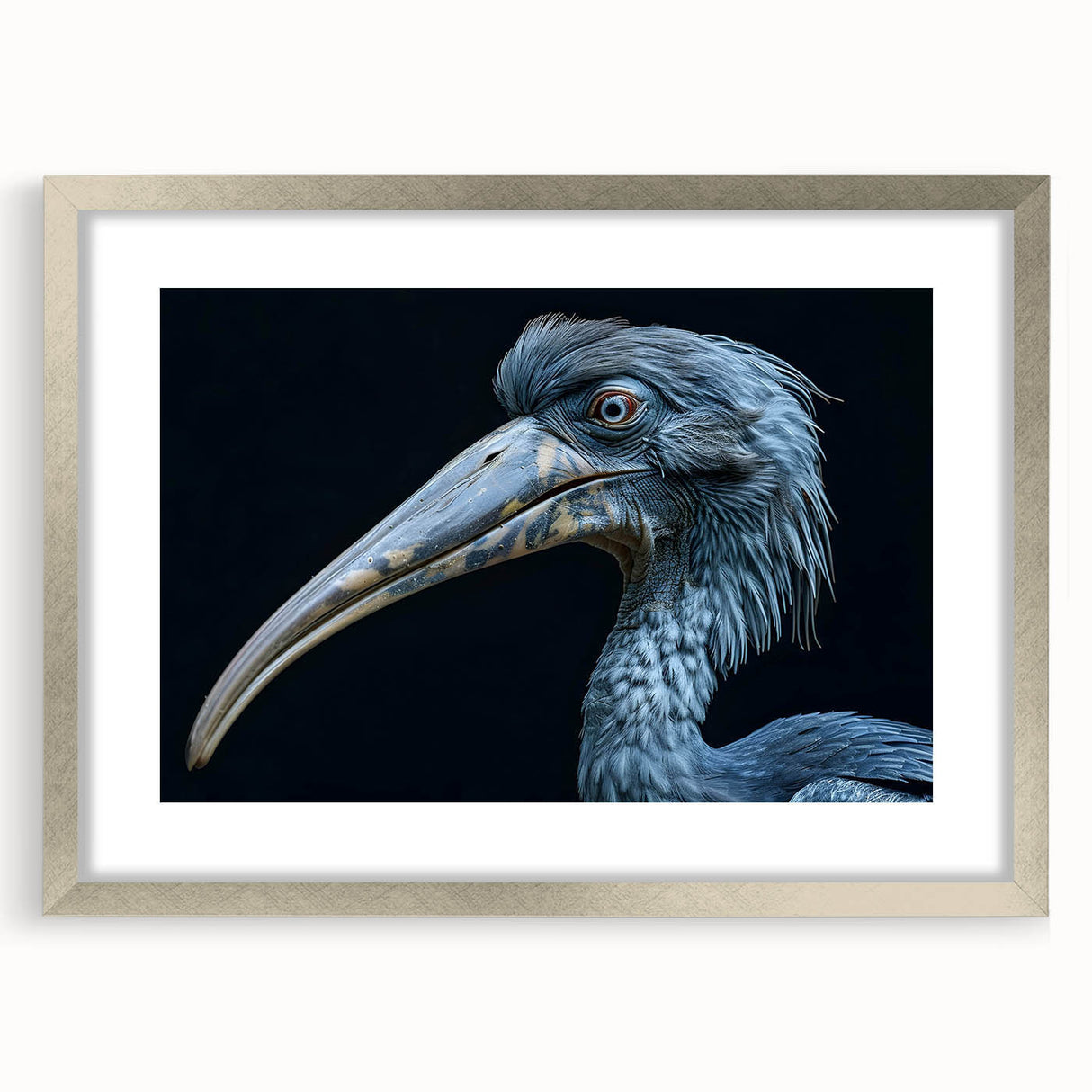 Framed tropical bird wall art collection featuring vibrant colors and intricate designs, set in a sleek silver frame with a white mat, perfect for home decor.