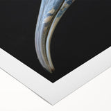 Tropical bird design rolled canvas wall art featuring colorful parrots and lush foliage, ideal for vibrant home decor and nature-themed interiors.