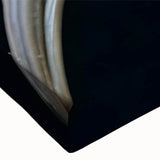 Vibrant close-up of a tropical bird design on stretched canvas, showcasing vivid colors and intricate details, perfect for brightening home decor.