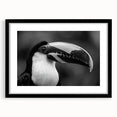 Tropical birds wall art collection framed in black with a mat, showcasing vibrant colors and intricate designs, ideal for enhancing home decor.