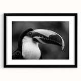 Tropical birds wall art collection framed in black with a mat, showcasing vibrant colors and intricate designs, ideal for enhancing home decor.