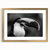 Tropical birds wall art collection displayed in a gold frame with a mat, showcasing vibrant colors and intricate details, perfect for home decor.