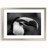 Framed wall art featuring a vibrant tropical bird design in a silver frame, showcasing intricate details and colorful plumage, perfect for home decor.