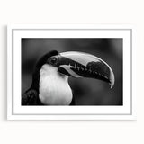 Tropical birds wall art collection framed with a white mat, showcasing vibrant colors and intricate details, perfect for brightening any living space.