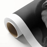 Vibrant rolled canvas wall art showcasing a tropical bird design, featuring lush colors and intricate detailing, perfect for enhancing home decor.