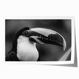 Tropical wall art print showcasing vibrant, colorful birds perched on lush green foliage, perfect for adding a lively touch to any home decor. Ideal for nature lovers and art enthusiasts.