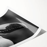 Tropical birds wall art print showcasing vibrant colors and intricate details, rolled and packaged in a protective tube for easy display and framing.