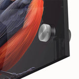 Close-up of a vibrant tropical bird wall art piece showcasing vivid colors and intricate details, designed for a stylish home décor accent. Perfect for nature lovers and interior design enthusiasts seeking to enhance their living space with exotic elegance.