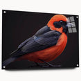 Tropical birds wall art collection displayed in an acrylic glass frame, showcasing vibrant colors and detailed designs. Perfect for enhancing modern home decor.
