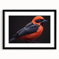Tropical birds wall art collection featuring vibrant colors and intricate designs, framed in black with a white mat, perfect for enhancing home decor.