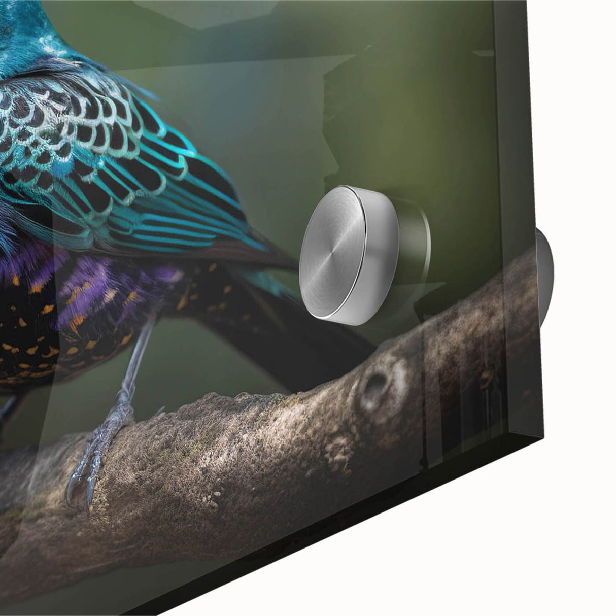 Close-up of vibrant tropical birds wall art design on acrylic glass, showcasing intricate colors and details, perfect for enhancing modern home decor.