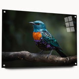 Vibrant tropical birds wall art design displayed in an acrylic glass frame, showcasing detailed colors and intricate patterns, perfect for home decor or office spaces.