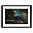 Tropical birds wall art design in a black frame with a mat, showcasing vibrant colors and intricate details. Ideal for enhancing home decor with a nature-inspired theme.