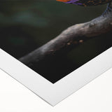 Vibrant tropical birds wall art print on rolled canvas, showcasing colorful parakeets and exotic foliage, perfect for home decor or a nature-themed space.