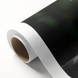 Colorful tropical bird wall art on rolled canvas, showcasing vibrant hues of blue, green, and yellow, perfect for enhancing home decor aesthetics.