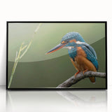 Framed wall art featuring a vibrant tropical bird design with lush foliage, set in a sleek black frame, perfect for enhancing modern decor.