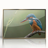Framed wall art showcasing a vibrant tropical bird design with gold accents, perfect for adding a touch of nature-inspired elegance to any room.