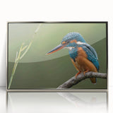 Framed acrylic wall art featuring vibrant tropical birds in a striking design, set against a silver background, perfect for enhancing modern home decor.