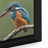 Colorful tropical birds wall art collection displayed in a close-up framed canvas. The vivid hues and intricate details highlight a serene natural setting, perfect for home decor.