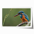 Tropical bird wall art print showcasing vibrant colors and intricate details of exotic birds perched among lush foliage, perfect for home decor or art collections.