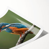 Tropical birds wall art print showcasing vibrant colors and intricate details, rolled and packaged for easy display, perfect for enhancing home decor.