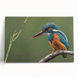 Tropical birds wall art collection showcasing vibrant colors and detailed designs on a stretched canvas, creating a lively and exotic decor piece for any space.