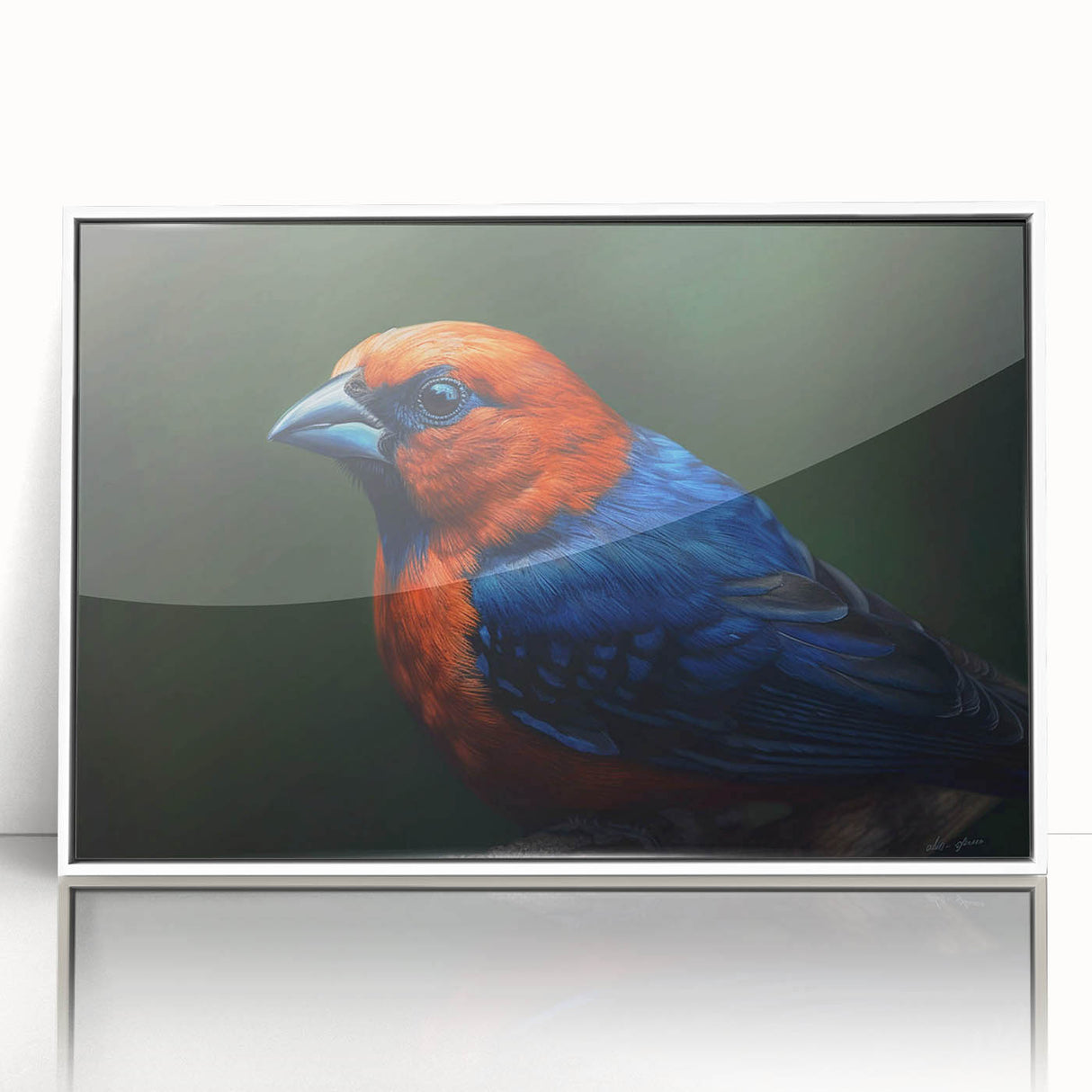 Tropical birds wall art collection featuring vibrant, colorful designs in a white frame, ideal for adding a lively touch to home decor. Perfect for nature lovers.