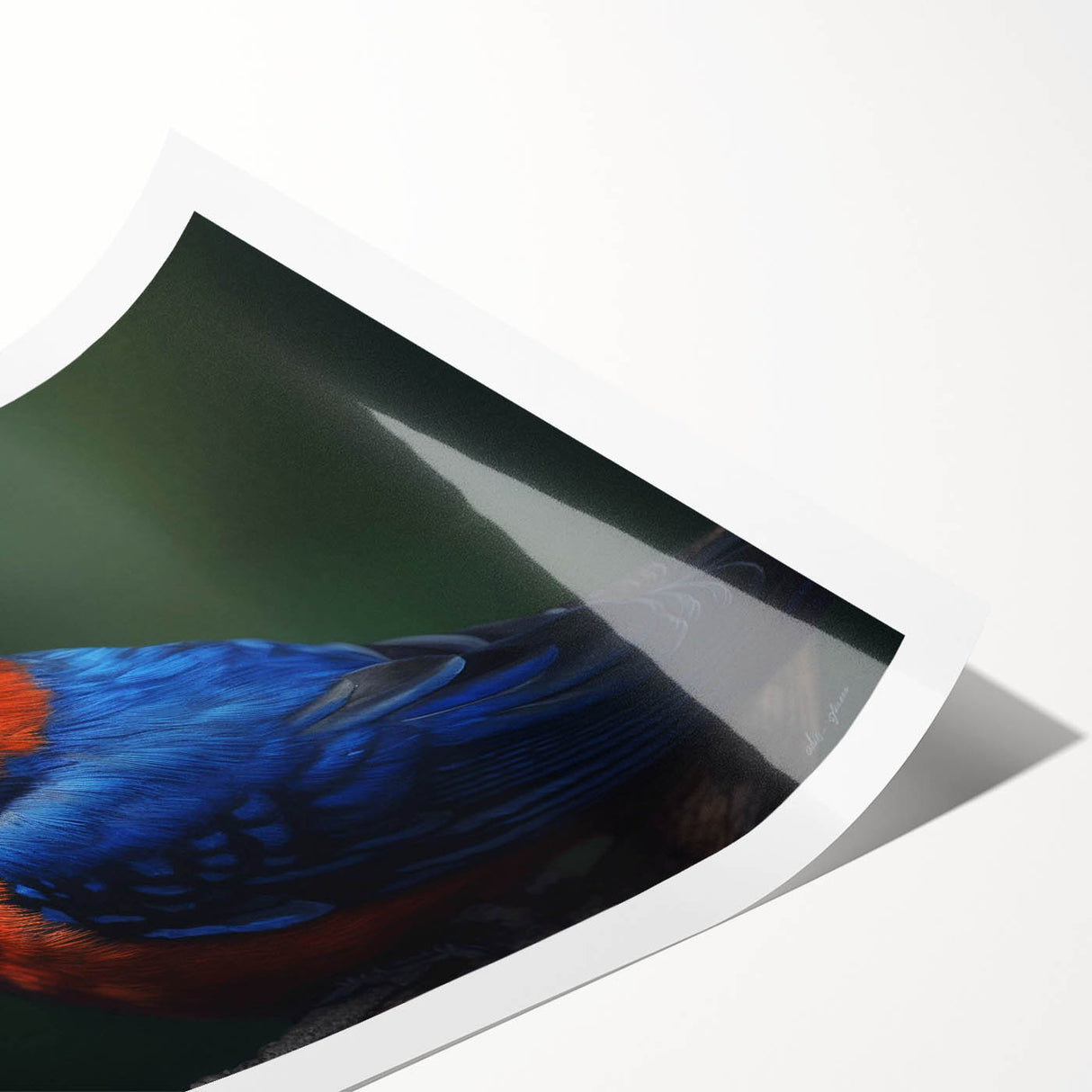 Vibrant tropical birds wall art design featuring colorful parrots and exotic foliage on a rolled print, ideal for enhancing any interior decor.