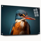 Tropical bird wall art collection showcased in an acrylic frame, featuring vibrant colors and intricate designs, ideal for enhancing home decor.