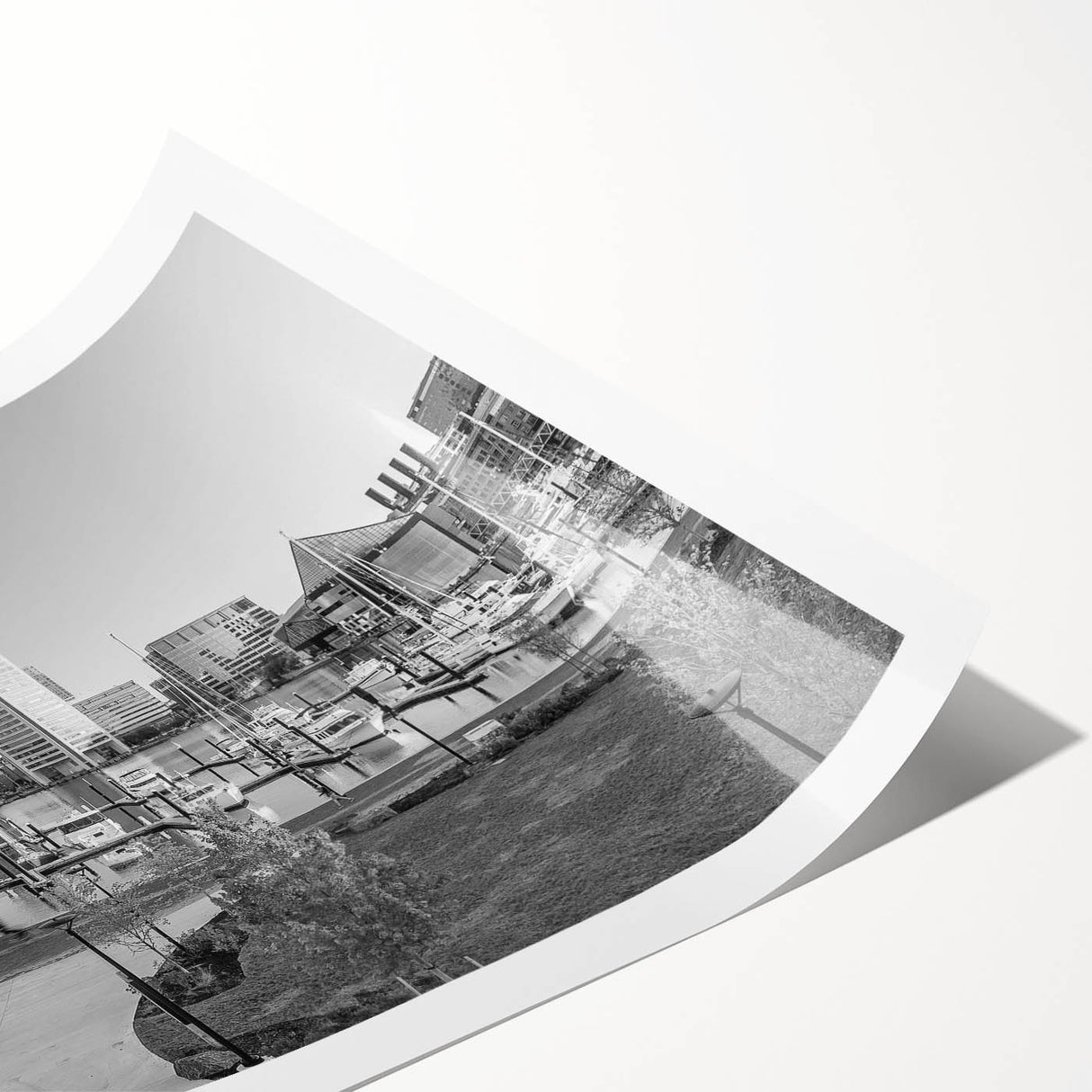 Extra large wall art featuring a line art design of Baltimore's skyline with floral motifs, printed on rolled canvas.