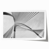 Extra large rolled print featuring floral art with muted earth tones, ideal for art wall dining room or bathroom.