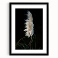 Floral and botanical frame design with a matte black finish, showcasing intricate plant illustrations, ideal for elegant home decor or gallery displays. Perfect for enhancing aesthetic appeal in living spaces or offices.