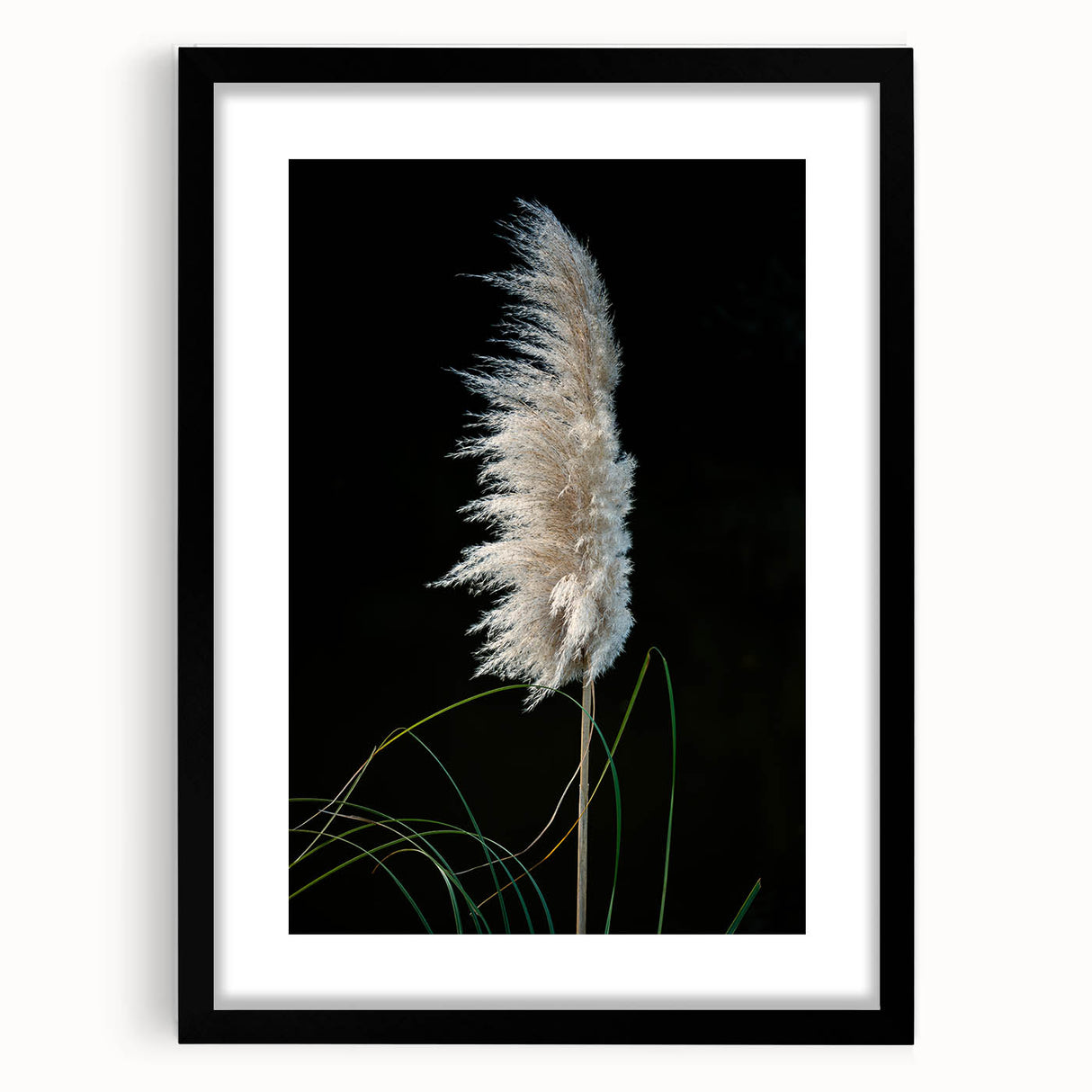 Floral and botanical frame design with a matte black finish, showcasing intricate plant illustrations, ideal for elegant home decor or gallery displays. Perfect for enhancing aesthetic appeal in living spaces or offices.